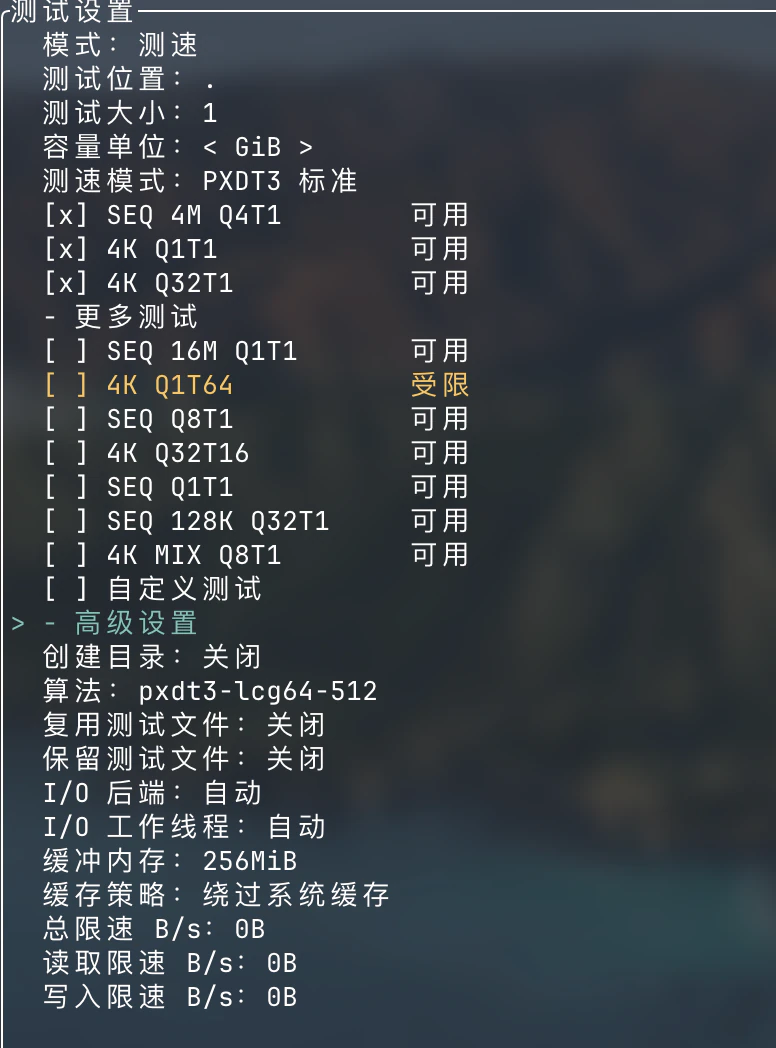 展开更多测速项目与高级设置